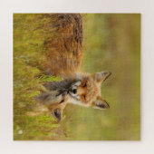 Red Fox Kit die naar Momma kijkt Legpuzzel (Horizontaal)