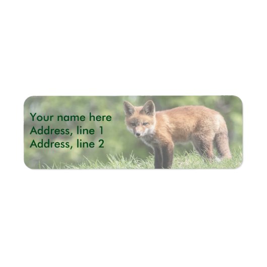 Red Fox Kit Etiket (Voorkant)