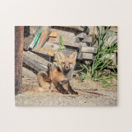Red Fox Kit in de Adirondacks Legpuzzel (Horizontaal)