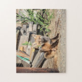 Red Fox Kit in de Adirondacks Legpuzzel (Verticaal)