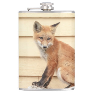 Red Fox Kit in de Hudson-vallei Heupfles