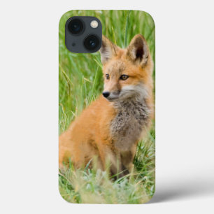 Red Fox Kit in gras nabij den den iPhone 13 Hoesje