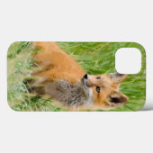 Red Fox Kit in gras nabij den den Case-Mate iPhone Case (Achterkant (horizontaal))
