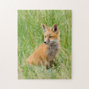 Red Fox Kit in gras nabij den den Legpuzzel