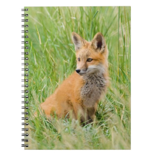 Red Fox Kit in gras nabij den den Notitieboek (Voorkant)