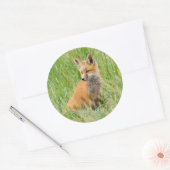 Red Fox Kit in gras nabij den den Ronde Sticker (Envelop)