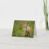Red Fox Kit in Grassy Meadow Note Kaart (Voorkant)