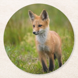 Red Fox Kit in Grassy Meadow Ronde Kartonnen Onderzetter
