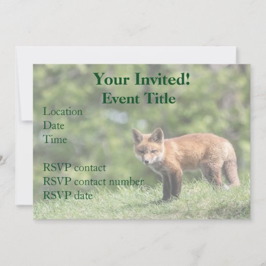 Red Fox Kit Kaart (Voorkant)