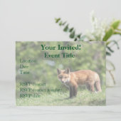 Red Fox Kit Kaart (Staand voorkant)