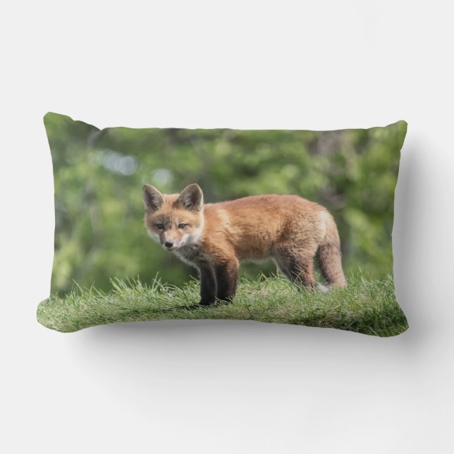 Red Fox Kit Kussen (Voorkant)