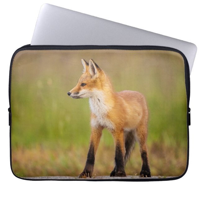 Red Fox Kit-laptophoes Laptop Sleeve (Voorkant)