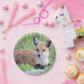 Red Fox Kit Papieren Bordje (Feest)