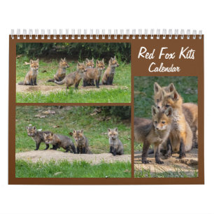 Red Fox Kits Kalender