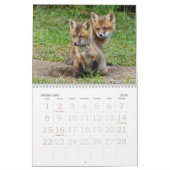 Red Fox Kits Kalender (Feb 2026)