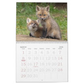 Red Fox Kits Kalender (Mar 2026)