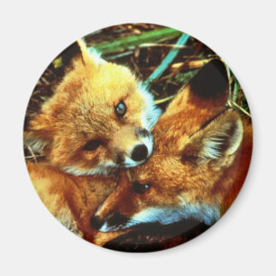 Red Fox Kits Magneet