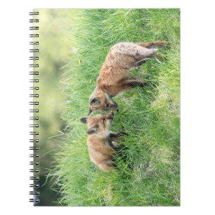Red Fox Kits Notitieboek