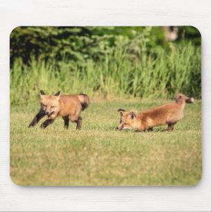 Red Fox Kits Speling Muismat