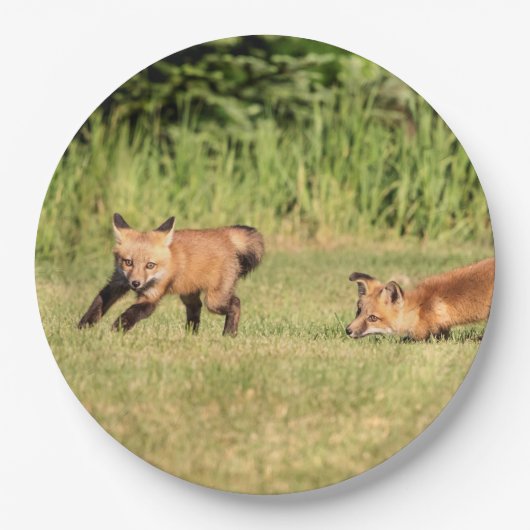 Red Fox Kits Speling Papieren Bordje (Voorkant)