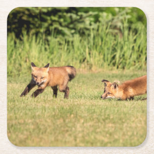 Red Fox Kits Speling Vierkante Kartonnen Onderzetter