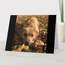 Red Fox Labrador zat in de herfst bladeren groeten Kaart