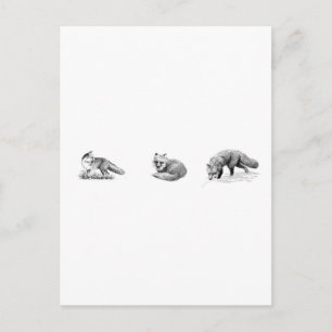 Red Fox Line Art Briefkaart