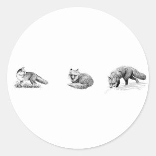 Red Fox Line Art Ronde Sticker