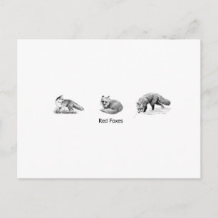 Red Fox Line Art (titel) Briefkaart