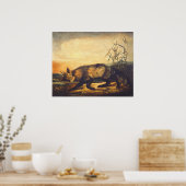 Red Fox met lange adem - JW Audubon Fine Art Poste Poster (Keuken)