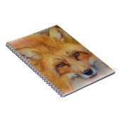 Red Fox Notitieboek (Rechterzijde)