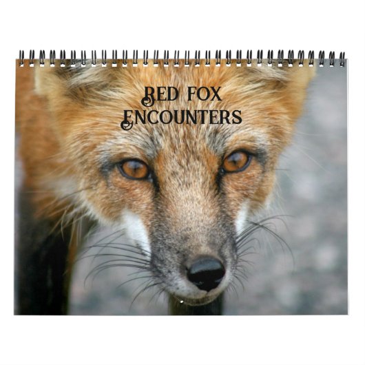 Red Fox ontmoet Fox fotografie Kalender (Hoes)