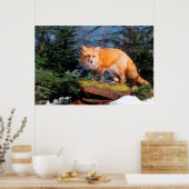 Red Fox op een log Poster (Keuken)