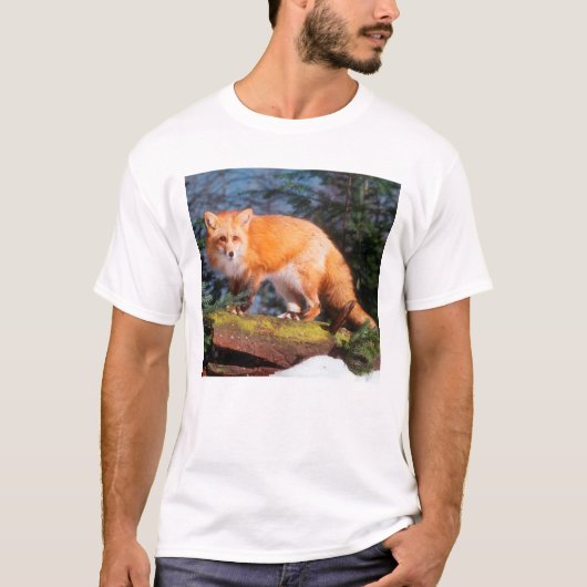 Red Fox op een log T-shirt (Voorkant)