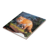 Red Fox op een log Tegeltje (Zijkant)
