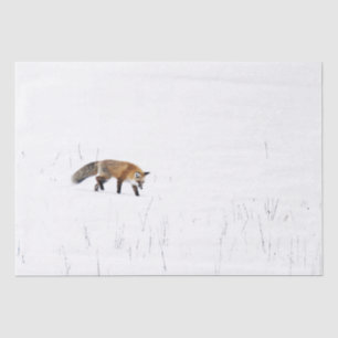 RED FOX OP SNEEUWWWEEFSELPAPIER TISSUEPAPIER
