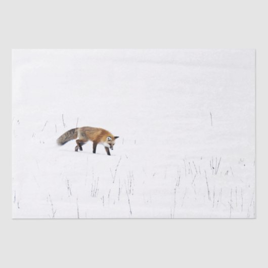 RED FOX OP SNEEUWWWEEFSELPAPIER TISSUEPAPIER (Voorkant)