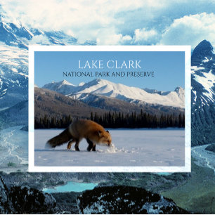 Red Fox op Snowy Lake Telaquana, Lake Clark, NPP Briefkaart