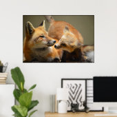 Red Fox Pair Poster (Thuiskantoor)