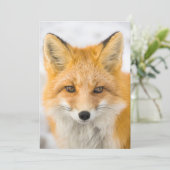 Red Fox Portrait Bedankkaart (Staand voorkant)