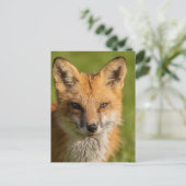 Red Fox Portrait Briefkaart (Staand voorkant)