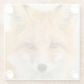 Red Fox Portrait Glazen Onderzetter (Achterkant)
