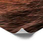 Red Fox Poster (Hoek)