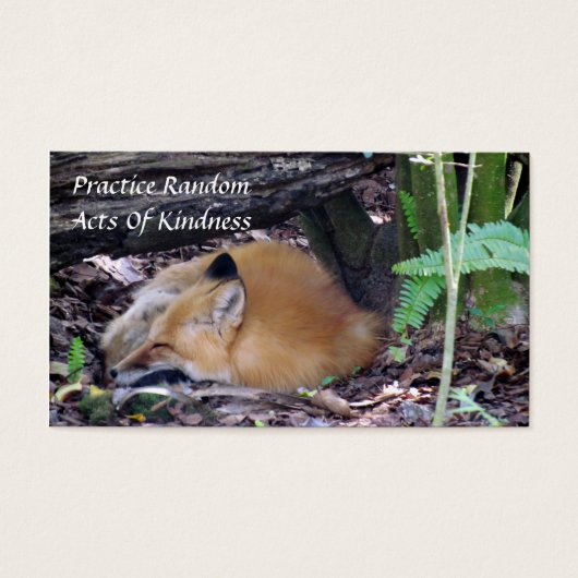 Red Fox Random Actes de gentillesse Carte (Devant)