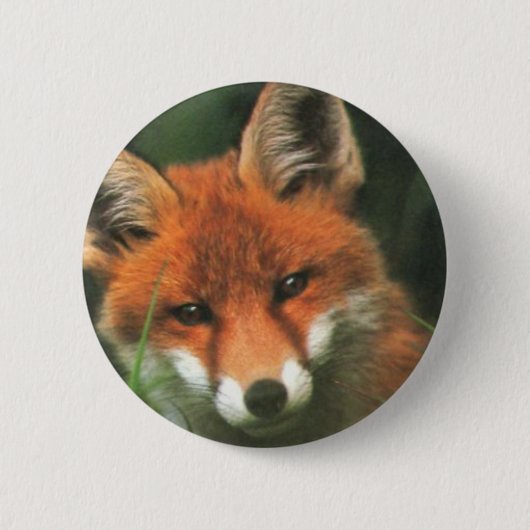 Red Fox Ronde Button 5,7 Cm (Voorkant)