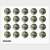 Red Fox Ronde Sticker (Vel)