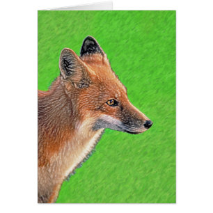 Red Fox schilderen - Oorspronkelijke Wildlife Art