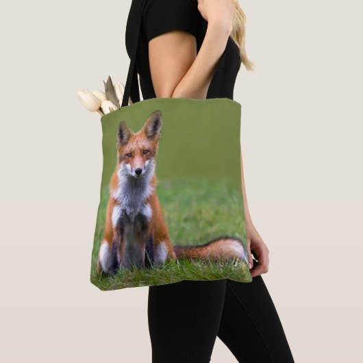 Red Fox Sitting Draagtas (Dichtbij)