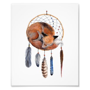 Red Fox Slapen op Dreamcatcher Art Print Foto Afdruk