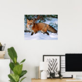 Red Fox | Sneeuw in de winter, Montana Poster (Thuiskantoor)